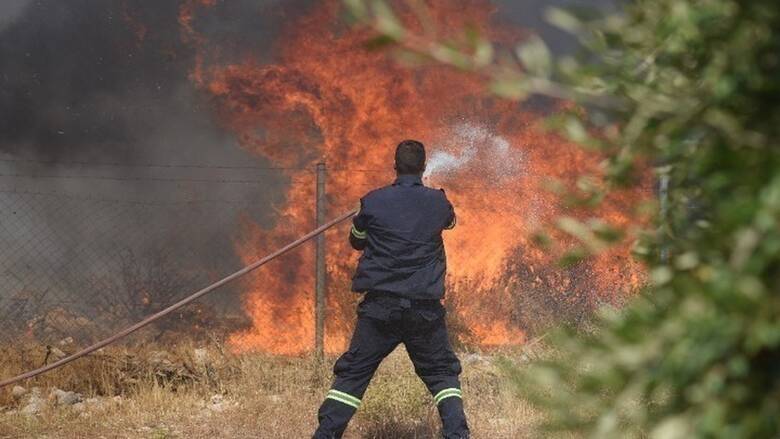 Ακαθάριστα οικόπεδα: «Τρέχουν» οι ιδιοκτήτες για να τα καθαρίσουν – Αλαλούμ με την δήλωση στην πλατφόρμα