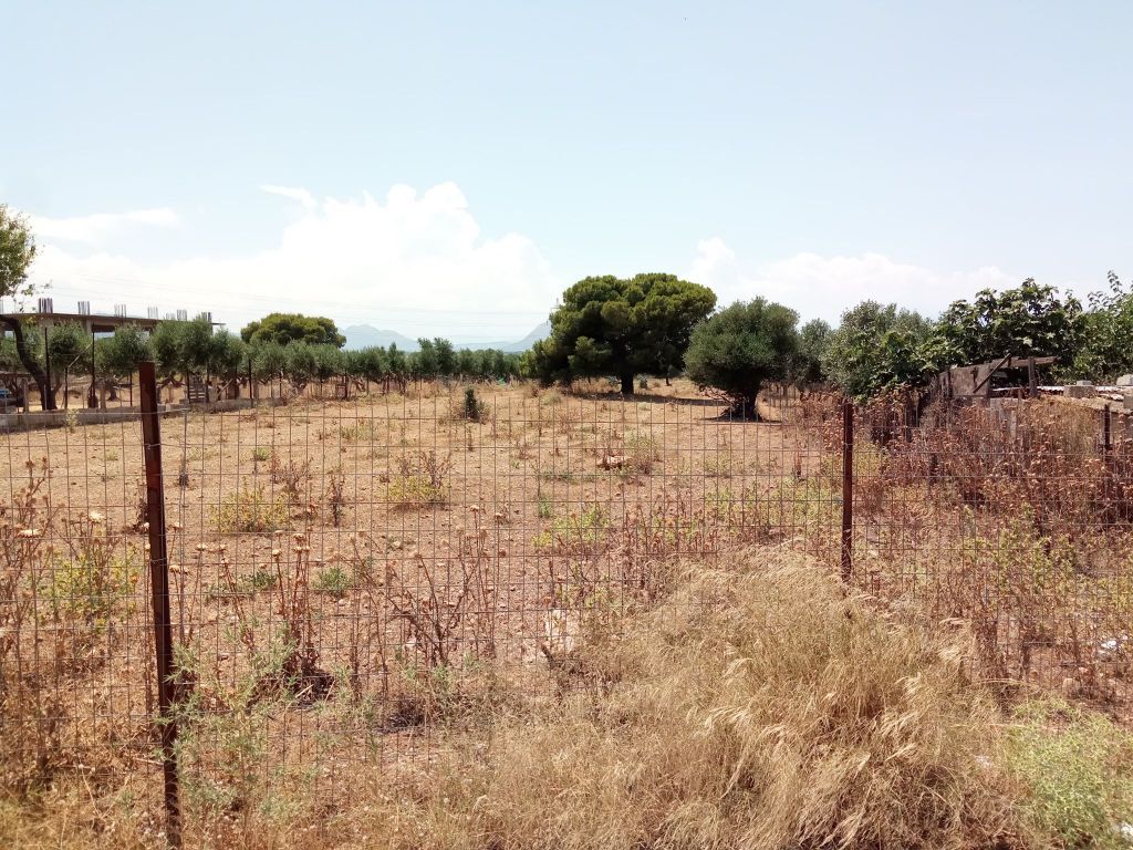 Ακαθάριστα οικόπεδα: Εκπνέει η προθεσμία για την σύνταξη εντύπου αξιολόγησης επικινδυνότητας
